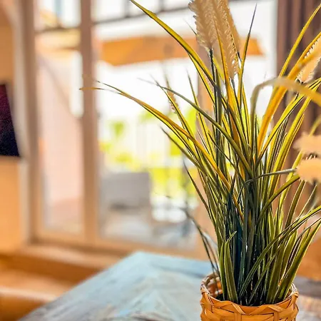 Baltischer Hof 56 Apartmán Boltenhagen (Ostseebad)